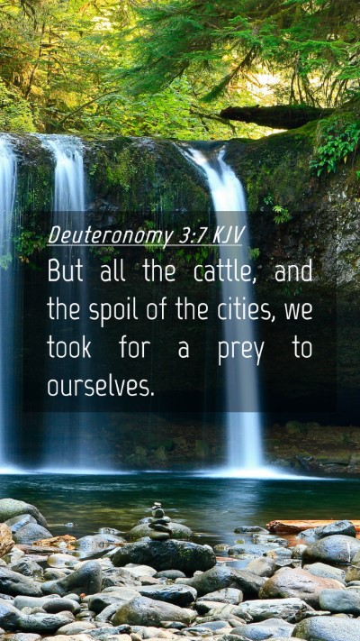 Picture 04 - Deuteronomy 3:7 KJV Mobile Phone Wallpaper - But all the cattle, and the spoil of the cities, - Mobile Bible Verse Wallpaper