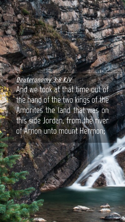 Picture 04 - Deuteronomy 3:8 KJV Mobile Phone Wallpaper - And we took at that time out of the hand of the - Mobile Bible Verse Wallpaper