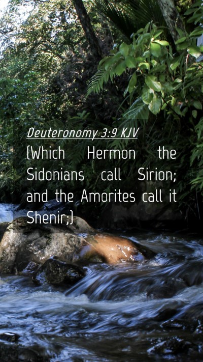 Picture 04 - Deuteronomy 3:9 KJV Mobile Phone Wallpaper - (Which Hermon the Sidonians call Sirion; and the - Mobile Bible Verse Wallpaper