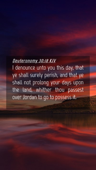 Picture 04 - Deuteronomy 30:18 KJV Mobile Phone Wallpaper - I denounce unto you this day, that ye shall - Mobile Bible Verse Wallpaper