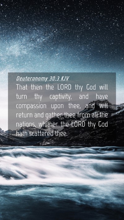 Picture 04 - Deuteronomy 30:3 KJV Mobile Phone Wallpaper - That then the LORD thy God will turn thy - Mobile Bible Verse Wallpaper