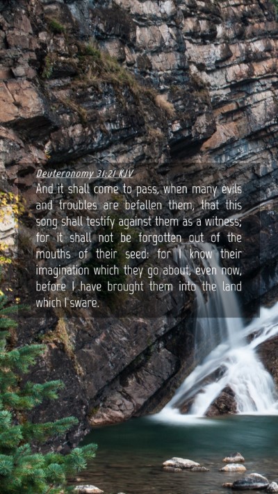 Picture 04 - Deuteronomy 31:21 KJV Mobile Phone Wallpaper - And it shall come to pass, when many evils and - Mobile Bible Verse Wallpaper