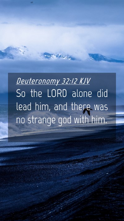 Picture 04 - Deuteronomy 32:12 KJV Mobile Phone Wallpaper - So the LORD alone did lead him, and there was no - Mobile Bible Verse Wallpaper