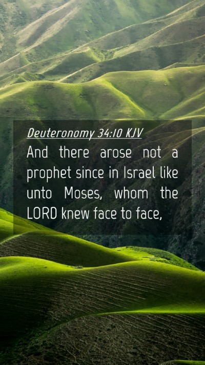 Picture 04 - Deuteronomy 34:10 KJV Mobile Phone Wallpaper - And there arose not a prophet since in Israel - Mobile Bible Verse Wallpaper