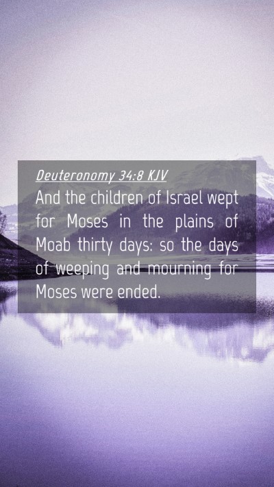 Picture 04 - Deuteronomy 34:8 KJV Mobile Phone Wallpaper - And the children of Israel wept for Moses in the - Mobile Bible Verse Wallpaper
