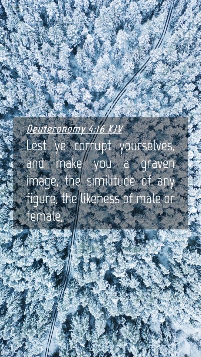 Picture 04 - Deuteronomy 4:16 KJV Mobile Phone Wallpaper - Lest ye corrupt yourselves, and make you a graven - Mobile Bible Verse Wallpaper