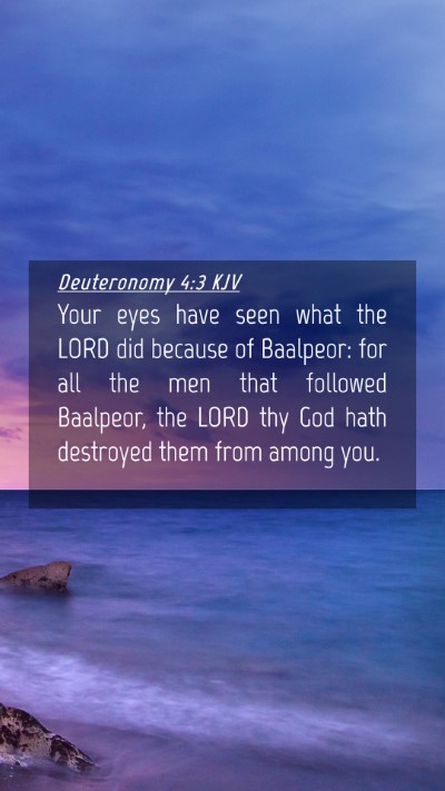 Picture 04 - Deuteronomy 4:3 KJV Mobile Phone Wallpaper - Your eyes have seen what the LORD did because of - Mobile Bible Verse Wallpaper