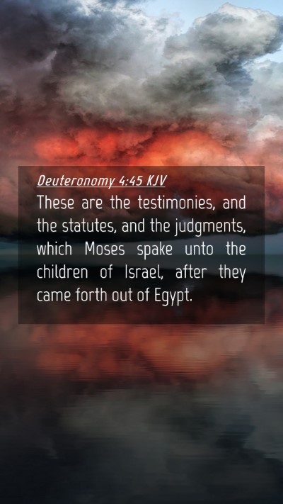Picture 04 - Deuteronomy 4:45 KJV Mobile Phone Wallpaper - These are the testimonies, and the statutes, and - Mobile Bible Verse Wallpaper