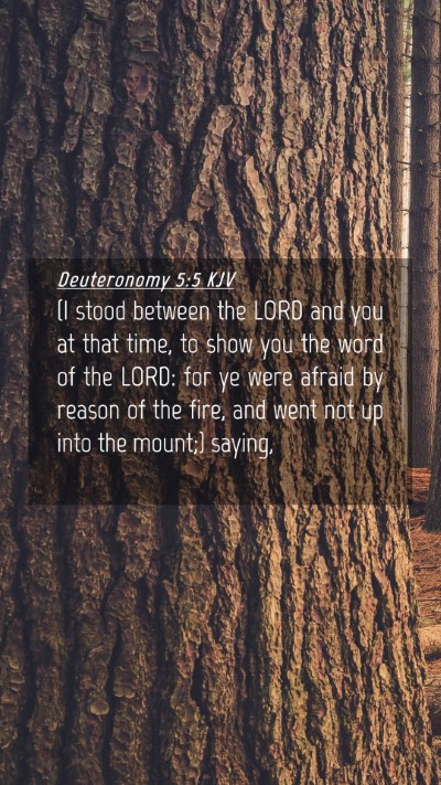 Picture 04 - Deuteronomy 5:5 KJV Mobile Phone Wallpaper - (I stood between the LORD and you at that time, - Mobile Bible Verse Wallpaper