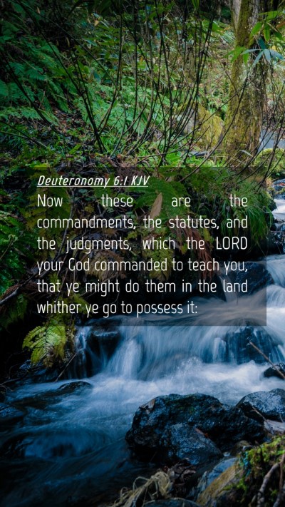 Picture 04 - Deuteronomy 6:1 KJV Mobile Phone Wallpaper - Now these are the commandments, the statutes, and - Mobile Bible Verse Wallpaper