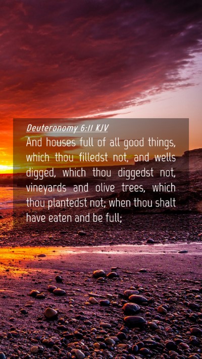 Picture 04 - Deuteronomy 6:11 KJV Mobile Phone Wallpaper - And houses full of all good things, which thou - Mobile Bible Verse Wallpaper