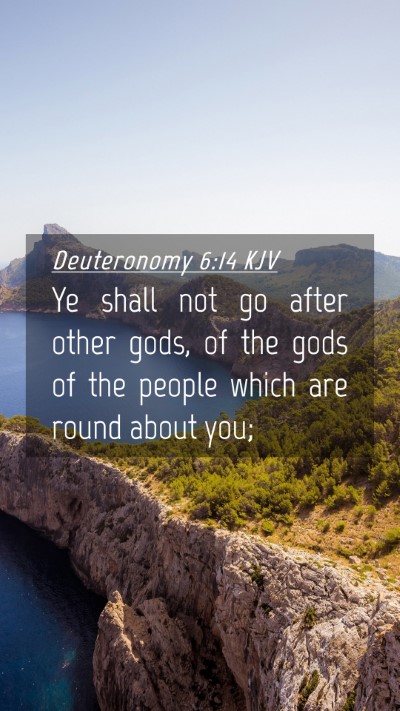Picture 04 - Deuteronomy 6:14 KJV Mobile Phone Wallpaper - Ye shall not go after other gods, of the gods of - Mobile Bible Verse Wallpaper