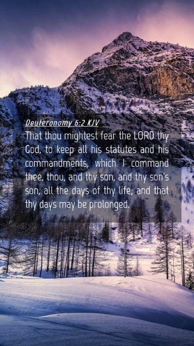 Picture 04 - Deuteronomy 6:2 KJV Mobile Phone Wallpaper - That thou mightest fear the LORD thy God, to keep - Mobile Bible Verse Wallpaper