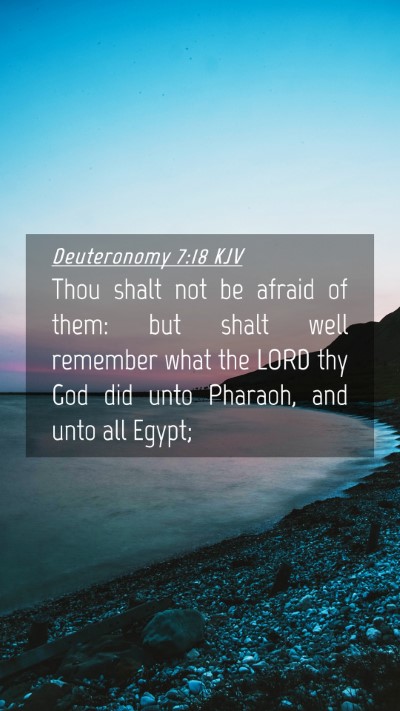Picture 04 - Deuteronomy 7:18 KJV Mobile Phone Wallpaper - Thou shalt not be afraid of them: but shalt well - Mobile Bible Verse Wallpaper
