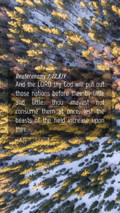 Picture 04 - Deuteronomy 7:22 KJV Mobile Phone Wallpaper - And the LORD thy God will put out those nations - Mobile Bible Verse Wallpaper