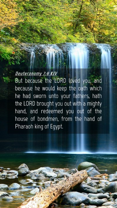 Picture 04 - Deuteronomy 7:8 KJV Mobile Phone Wallpaper - But because the LORD loved you, and because he - Mobile Bible Verse Wallpaper