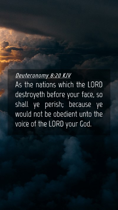 Picture 04 - Deuteronomy 8:20 KJV Mobile Phone Wallpaper - As the nations which the LORD destroyeth before - Mobile Bible Verse Wallpaper