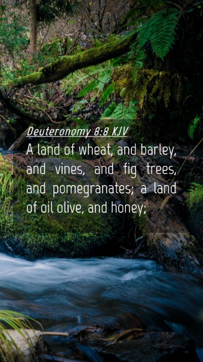 Picture 04 - Deuteronomy 8:8 KJV Mobile Phone Wallpaper - A land of wheat, and barley, and vines, and fig - Mobile Bible Verse Wallpaper