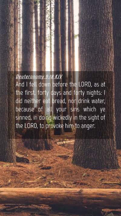 Picture 04 - Deuteronomy 9:18 KJV Mobile Phone Wallpaper - And I fell down before the LORD, as at the first, - Mobile Bible Verse Wallpaper