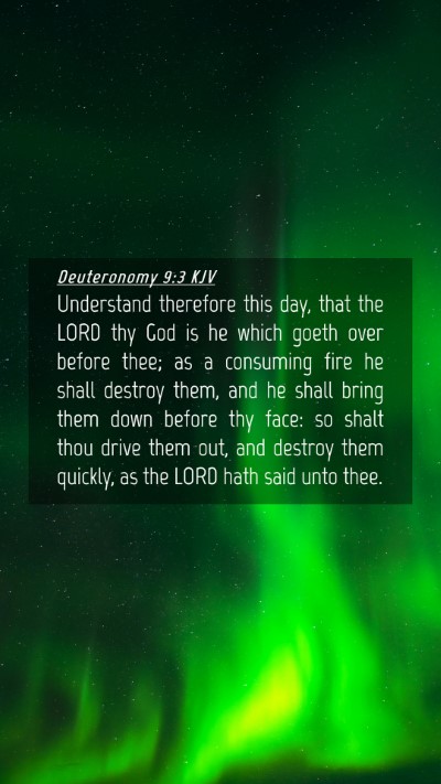 Picture 04 - Deuteronomy 9:3 KJV Mobile Phone Wallpaper - Understand therefore this day, that the LORD thy - Mobile Bible Verse Wallpaper