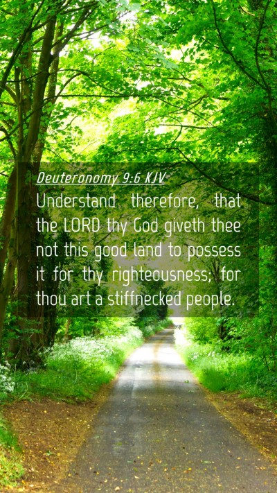 Picture 04 - Deuteronomy 9:6 KJV Mobile Phone Wallpaper - Understand therefore, that the LORD thy God - Mobile Bible Verse Wallpaper