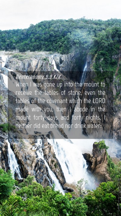 Picture 04 - Deuteronomy 9:9 KJV Mobile Phone Wallpaper - When I was gone up into the mount to receive the - Mobile Bible Verse Wallpaper