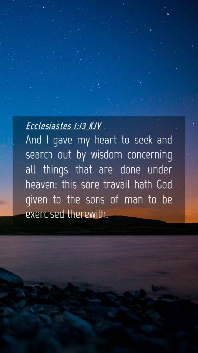 Picture 04 - Ecclesiastes 1:13 KJV Mobile Phone Wallpaper - And I gave my heart to seek and search out by - Mobile Bible Verse Wallpaper