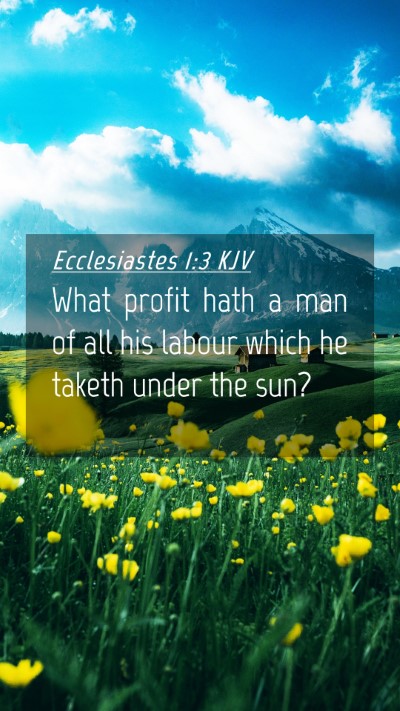 Picture 04 - Ecclesiastes 1:3 KJV Mobile Phone Wallpaper - What profit hath a man of all his labour which he - Mobile Bible Verse Wallpaper