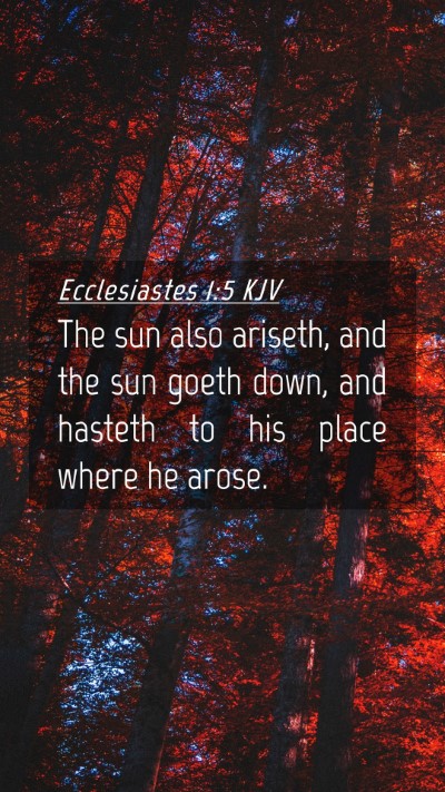Picture 04 - Ecclesiastes 1:5 KJV Mobile Phone Wallpaper - The sun also ariseth, and the sun goeth down, and - Mobile Bible Verse Wallpaper