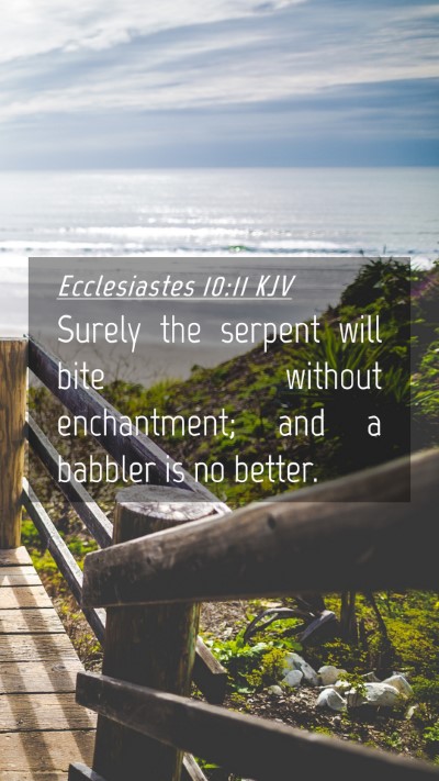 Picture 04 - Ecclesiastes 10:11 KJV Mobile Phone Wallpaper - Surely the serpent will bite without enchantment; - Mobile Bible Verse Wallpaper