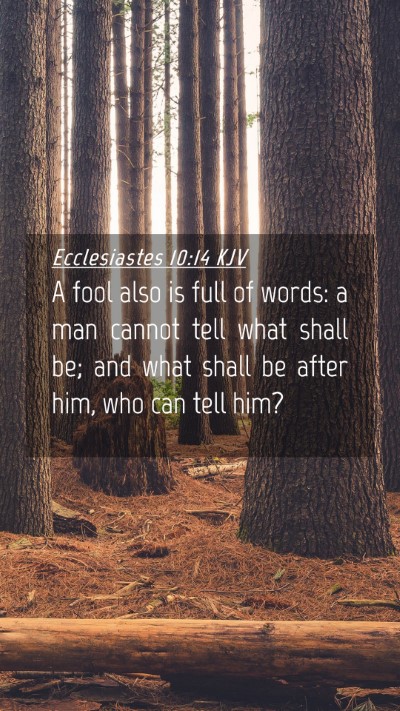 Picture 04 - Ecclesiastes 10:14 KJV Mobile Phone Wallpaper - A fool also is full of words: a man cannot tell - Mobile Bible Verse Wallpaper