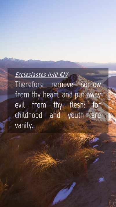 Picture 04 - Ecclesiastes 11:10 KJV Mobile Phone Wallpaper - Therefore remove sorrow from thy heart, and put - Mobile Bible Verse Wallpaper