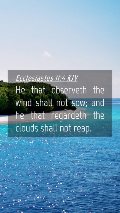 Picture 04 - Ecclesiastes 11:4 KJV Mobile Phone Wallpaper - He that observeth the wind shall not sow; and he - Mobile Bible Verse Wallpaper