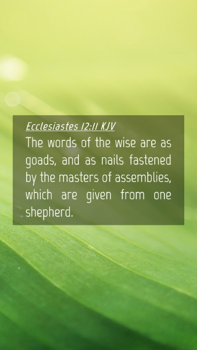 Picture 04 - Ecclesiastes 12:11 KJV Mobile Phone Wallpaper - The words of the wise are as goads, and as nails - Mobile Bible Verse Wallpaper