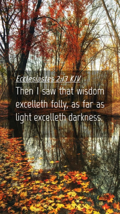 Picture 04 - Ecclesiastes 2:13 KJV Mobile Phone Wallpaper - Then I saw that wisdom excelleth folly, as far as - Mobile Bible Verse Wallpaper