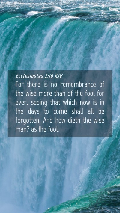 Picture 04 - Ecclesiastes 2:16 KJV Mobile Phone Wallpaper - For there is no remembrance of the wise more than - Mobile Bible Verse Wallpaper