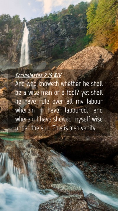 Picture 04 - Ecclesiastes 2:19 KJV Mobile Phone Wallpaper - And who knoweth whether he shall be a wise man or - Mobile Bible Verse Wallpaper