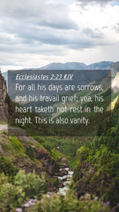 Picture 04 - Ecclesiastes 2:23 KJV Mobile Phone Wallpaper - For all his days are sorrows, and his travail - Mobile Bible Verse Wallpaper