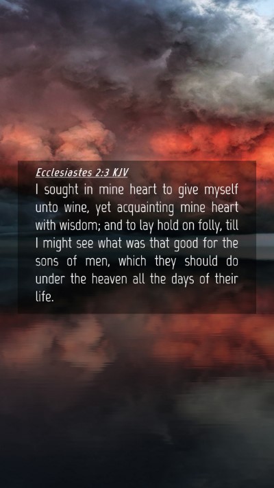 Picture 04 - Ecclesiastes 2:3 KJV Mobile Phone Wallpaper - I sought in mine heart to give myself unto wine, - Mobile Bible Verse Wallpaper