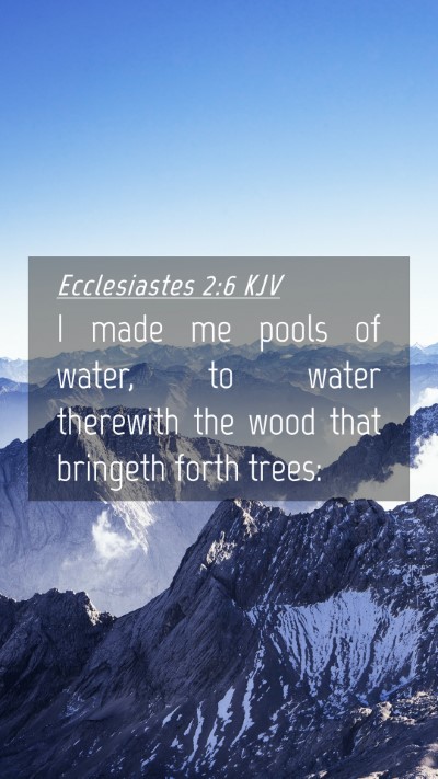 Picture 04 - Ecclesiastes 2:6 KJV Mobile Phone Wallpaper - I made me pools of water, to water therewith the - Mobile Bible Verse Wallpaper