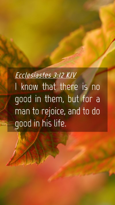 Picture 04 - Ecclesiastes 3:12 KJV Mobile Phone Wallpaper - I know that there is no good in them, but for a - Mobile Bible Verse Wallpaper