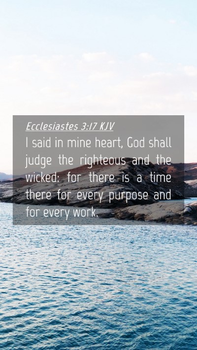 Picture 04 - Ecclesiastes 3:17 KJV Mobile Phone Wallpaper - I said in mine heart, God shall judge the - Mobile Bible Verse Wallpaper