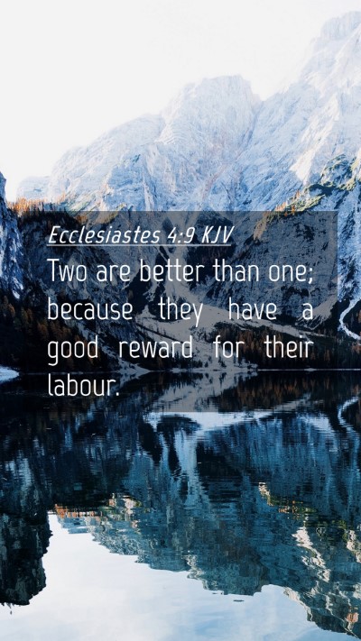 Picture 04 - Ecclesiastes 4:9 KJV Mobile Phone Wallpaper - Two are better than one; because they have a good - Mobile Bible Verse Wallpaper