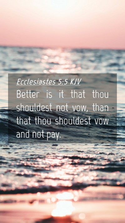 Picture 04 - Ecclesiastes 5:5 KJV Mobile Phone Wallpaper - Better is it that thou shouldest not vow, than - Mobile Bible Verse Wallpaper