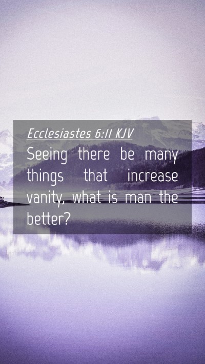Picture 04 - Ecclesiastes 6:11 KJV Mobile Phone Wallpaper - Seeing there be many things that increase vanity, - Mobile Bible Verse Wallpaper