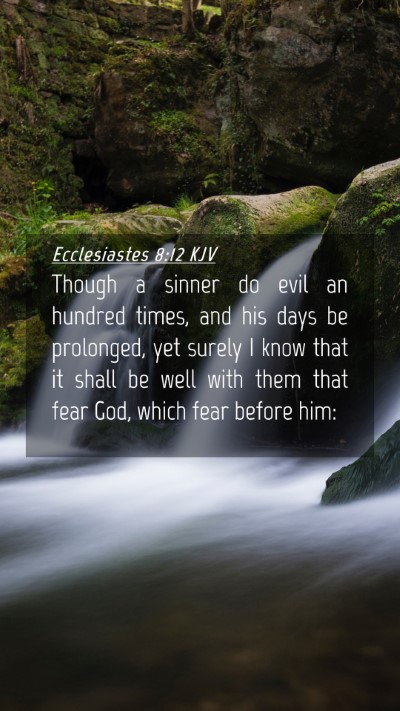 Picture 04 - Ecclesiastes 8:12 KJV Mobile Phone Wallpaper - Though a sinner do evil an hundred times, and his - Mobile Bible Verse Wallpaper