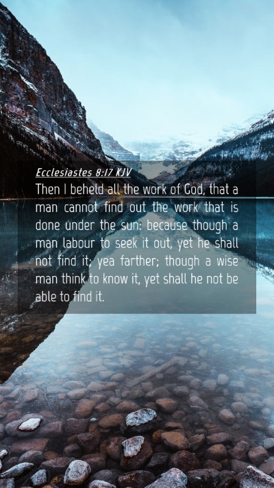 Picture 04 - Ecclesiastes 8:17 KJV Mobile Phone Wallpaper - Then I beheld all the work of God, that a man - Mobile Bible Verse Wallpaper