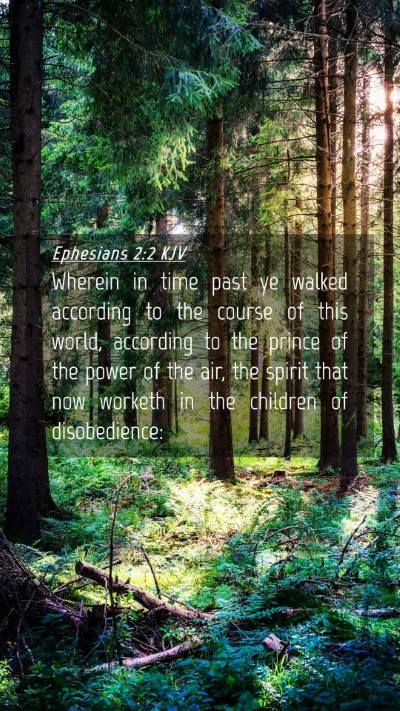 Picture 04 - Ephesians 2:2 KJV Mobile Phone Wallpaper - Wherein in time past ye walked according to the - Mobile Bible Verse Wallpaper