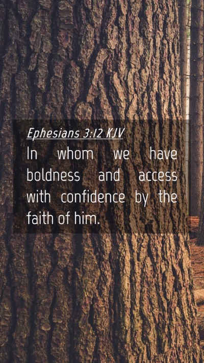 Picture 04 - Ephesians 3:12 KJV Mobile Phone Wallpaper - In whom we have boldness and access with - Mobile Bible Verse Wallpaper