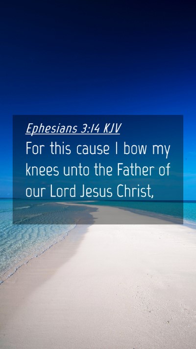 Picture 04 - Ephesians 3:14 KJV Mobile Phone Wallpaper - For this cause I bow my knees unto the Father of - Mobile Bible Verse Wallpaper